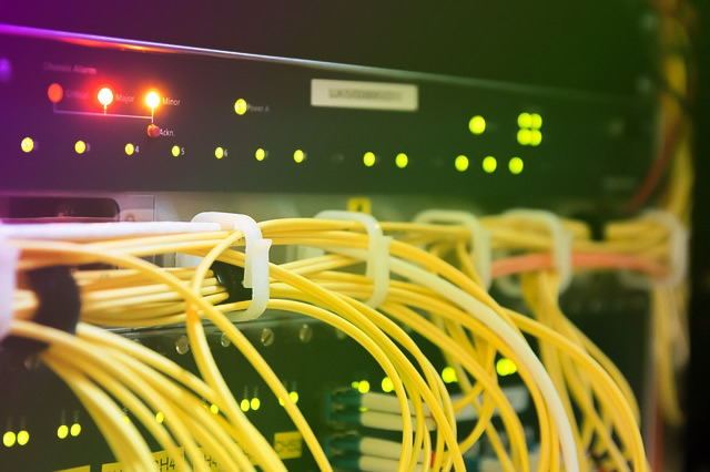 Budget Web Hosting