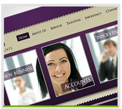 Accountants