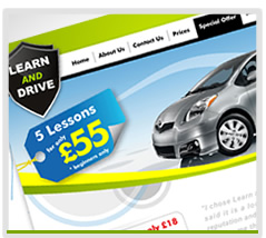 Driving Instructors