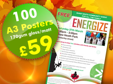 100 A3 Glossy Or Matt Posters Printed